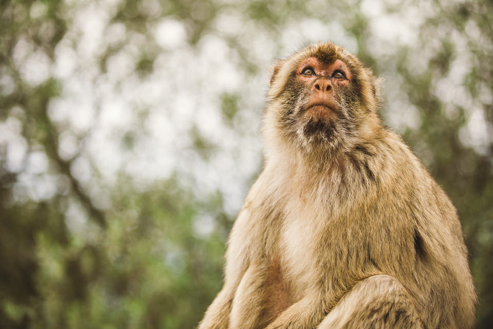 Gibraltar portrait photographer