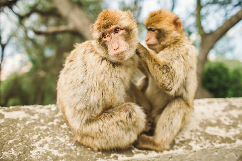 Gibraltar Travel Photographer