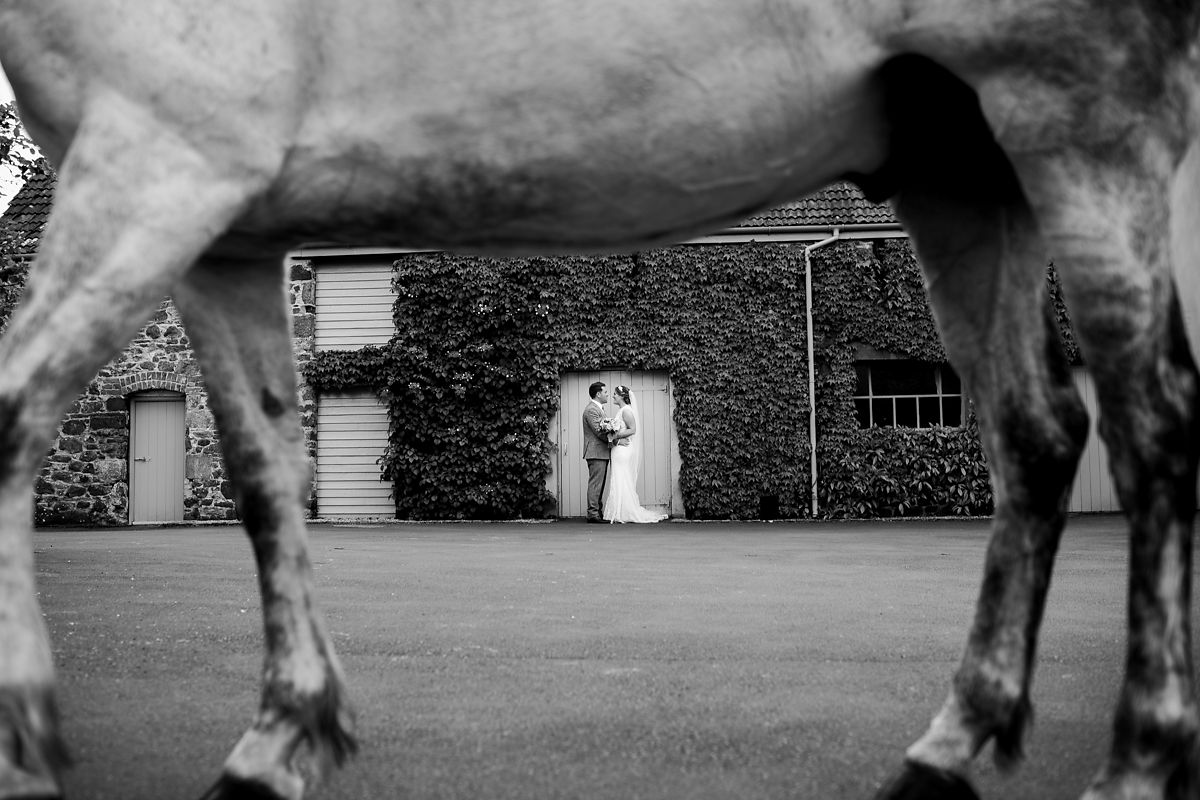 Devon Wedding Photography