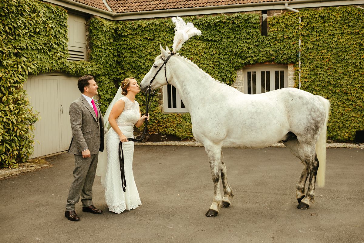 White horse as a wedding surprise in Devon